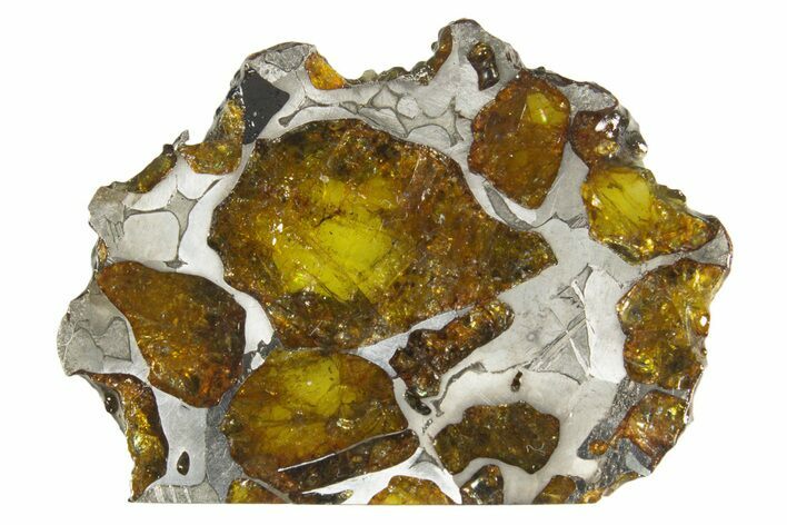 Polished Imilac Pallasite Meteorite ( g) Slice #334657